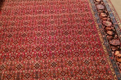 AB-3, Bidjar, wool, 336 x 223 cm, Iran, 4350 €